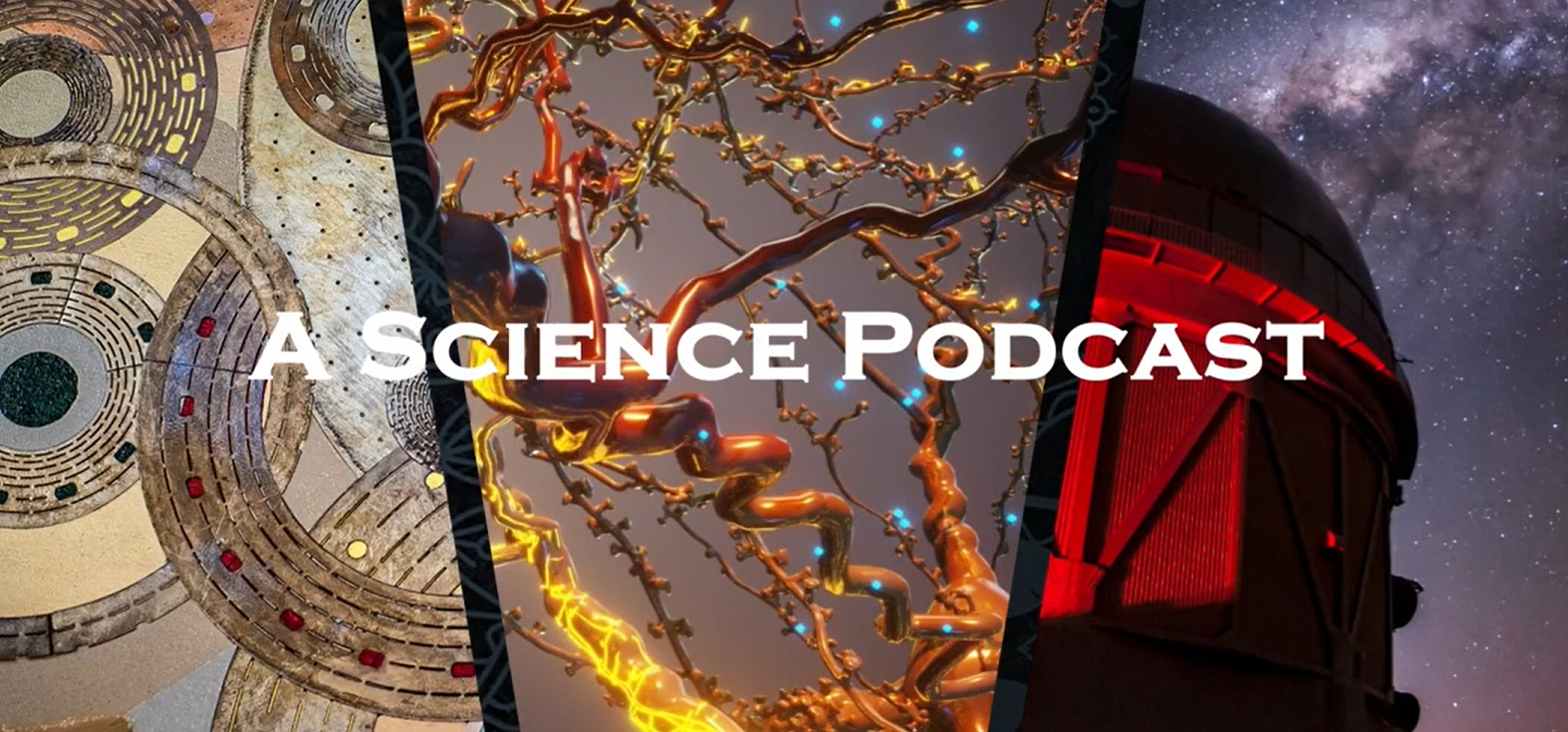 Bacterial Immunity, Anti-phage defense, Phage therapy